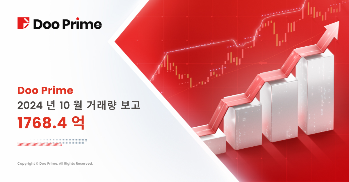 Doo Prime 2024년 10월 거래량 보고서 